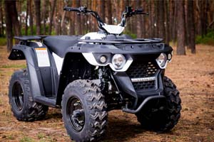 LinhaiLinhai M150 Eyas