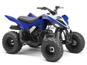 YamahaYFM 90R