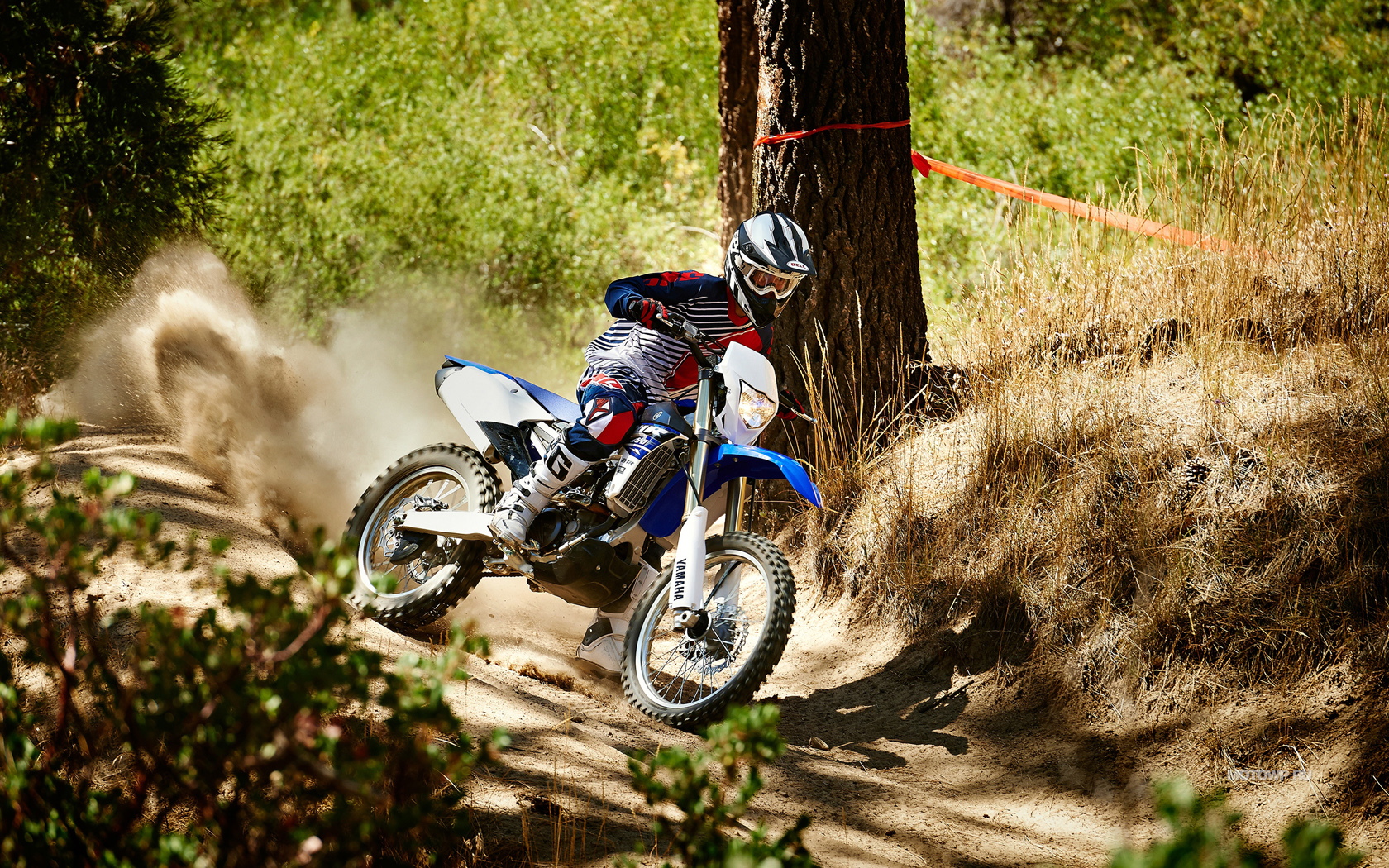 Yamaha WR250F 