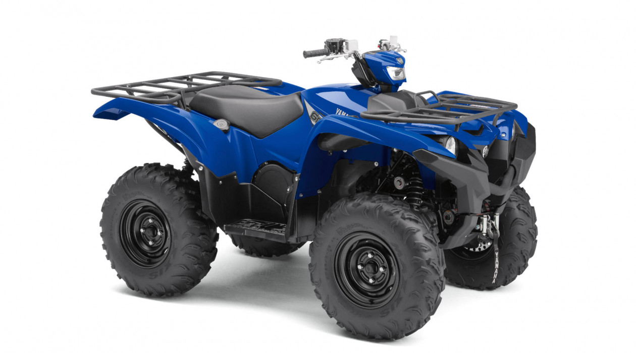 Grizzly 700 1