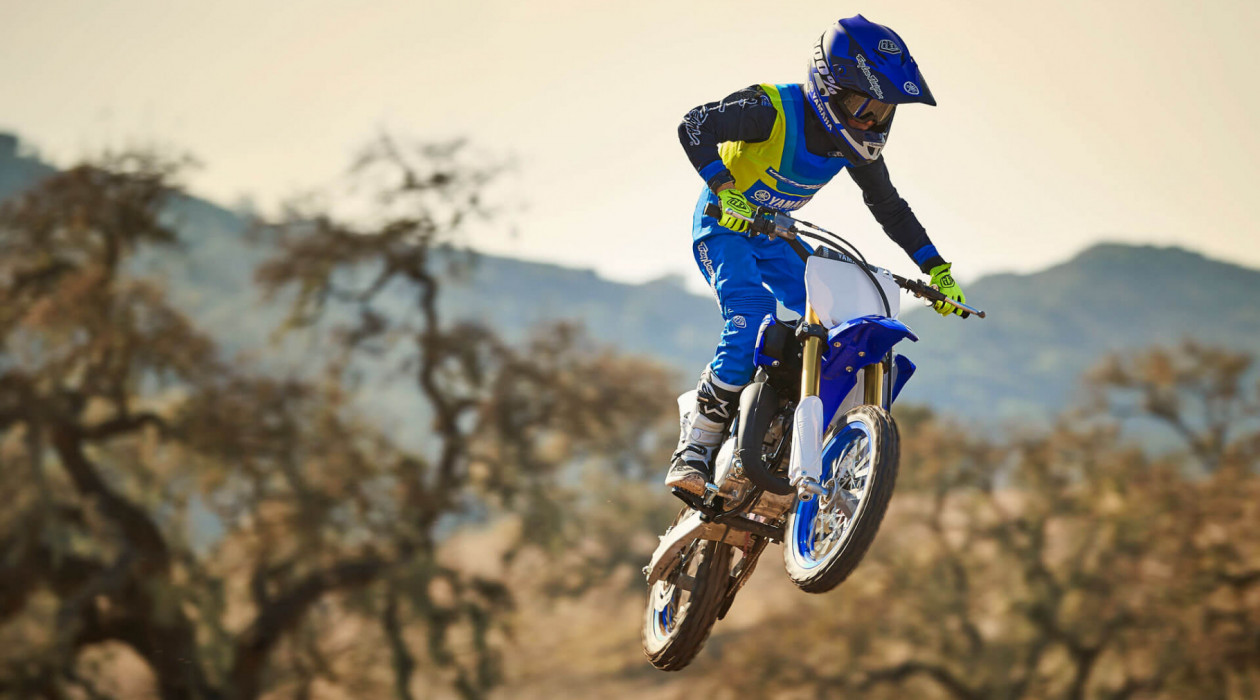 YZ65 1