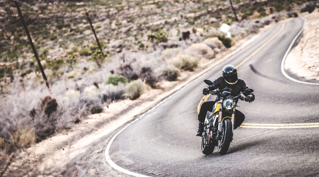Scrambler 1100 PRO 9