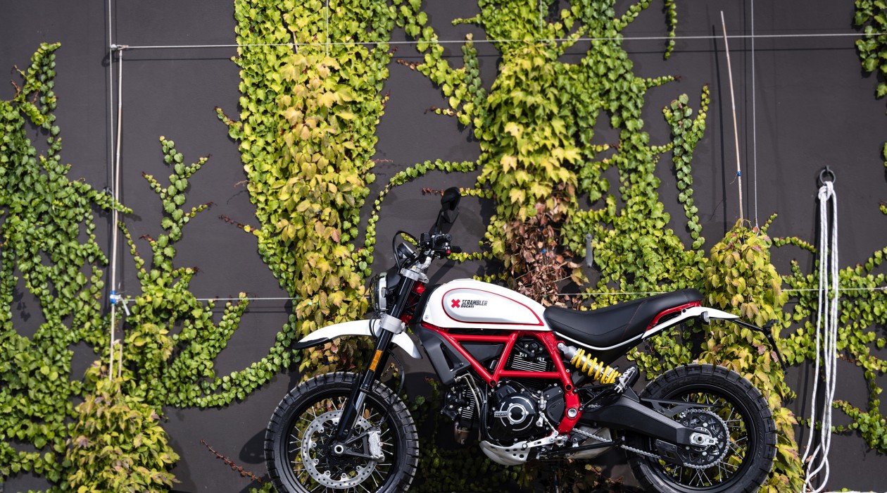 Scrambler Desert Sled 2